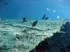 Thistlegorm, Red Sea