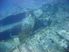 Thistlegorm, Red Sea