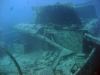 Thistlegorm, Red Sea