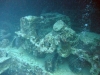 Thistlegorm, Red Sea