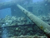 Thistlegorm, Red Sea