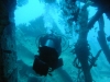 Thistlegorm, Red Sea