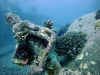 Thistlegorm, Red Sea