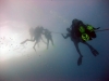 Thistlegorm, Red Sea