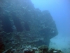 Carnatic, Abu Nahas, Red Sea