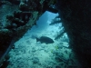 Carnatic, Abu Nahas, Red Sea