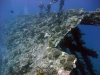 Carnatic, Abu Nahas, Red Sea