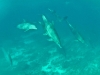 vlcsnap-2014-10-28-09h46m11s168