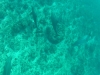 vlcsnap-2014-10-28-10h01m16s14