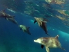 vlcsnap-2014-10-28-10h08m36s213
