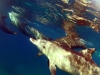 vlcsnap-2014-10-28-10h08m48s188