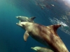 vlcsnap-2014-10-28-10h09m33s140