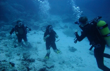 Similan Reef Safari