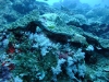 DSCF0542