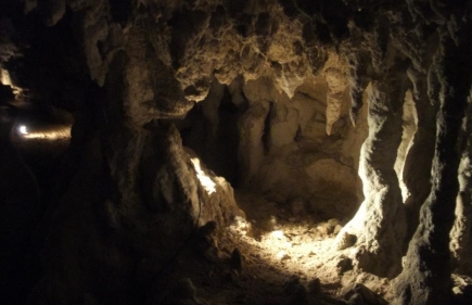 Spellbound Glowworm & Cave Tour