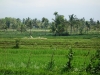 DSC00493