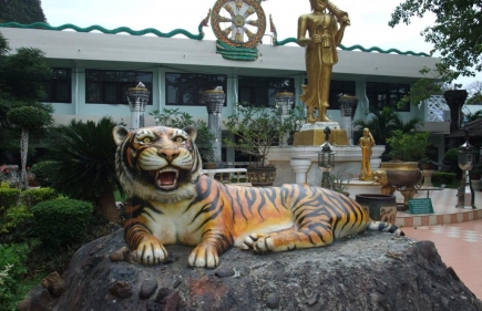 Tiger Temple & Huai To Waterfall