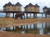 Tsavo West National Park, Kenia