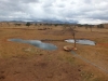 Tsavo West National Park, Kenia