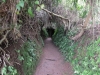 Vinh Moc Tunnels