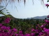 DSC00718