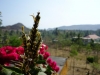 DSC00728