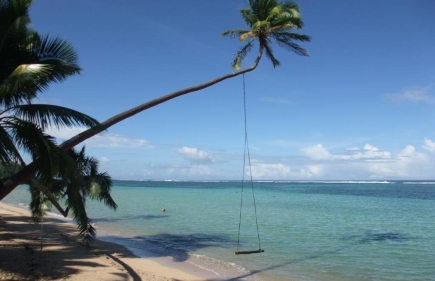A Wedding & Fiji Beach House