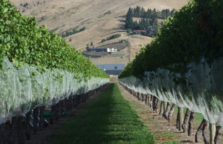 Wine Tasting in Marlborough