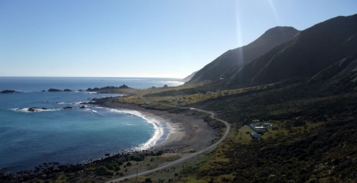 Cape-Palliser