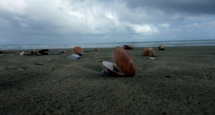 90-mile-beach