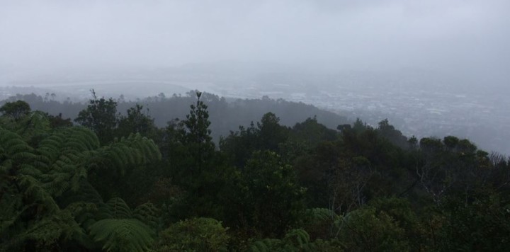 Parihaka-Scenic-Reserve