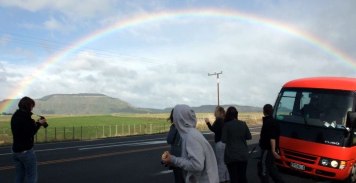 stray-regenbogen