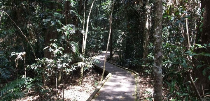 Jum Rum Walk, Jum Rum Conservation Park