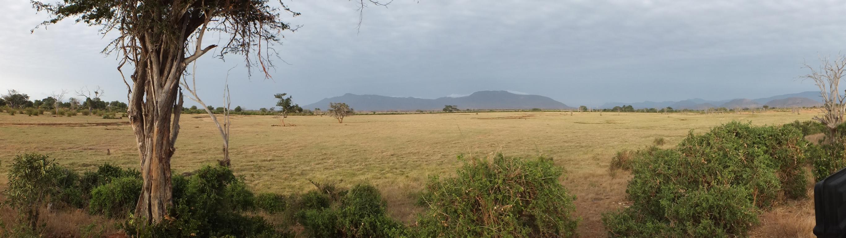 Tsavo East National Park, Kenia