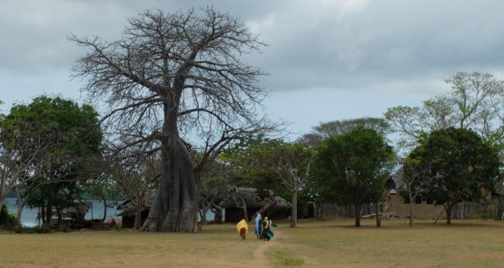 Chole Island Tour