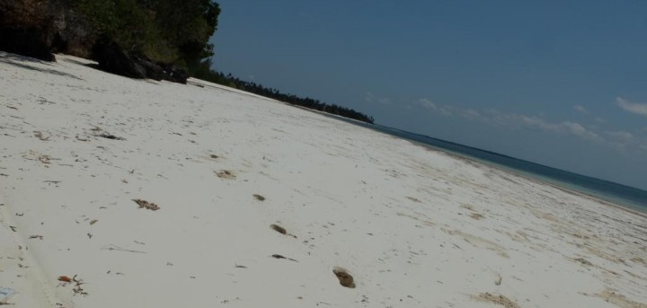 Strand bei Michamvi, Sansibar