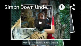 youtube-video0